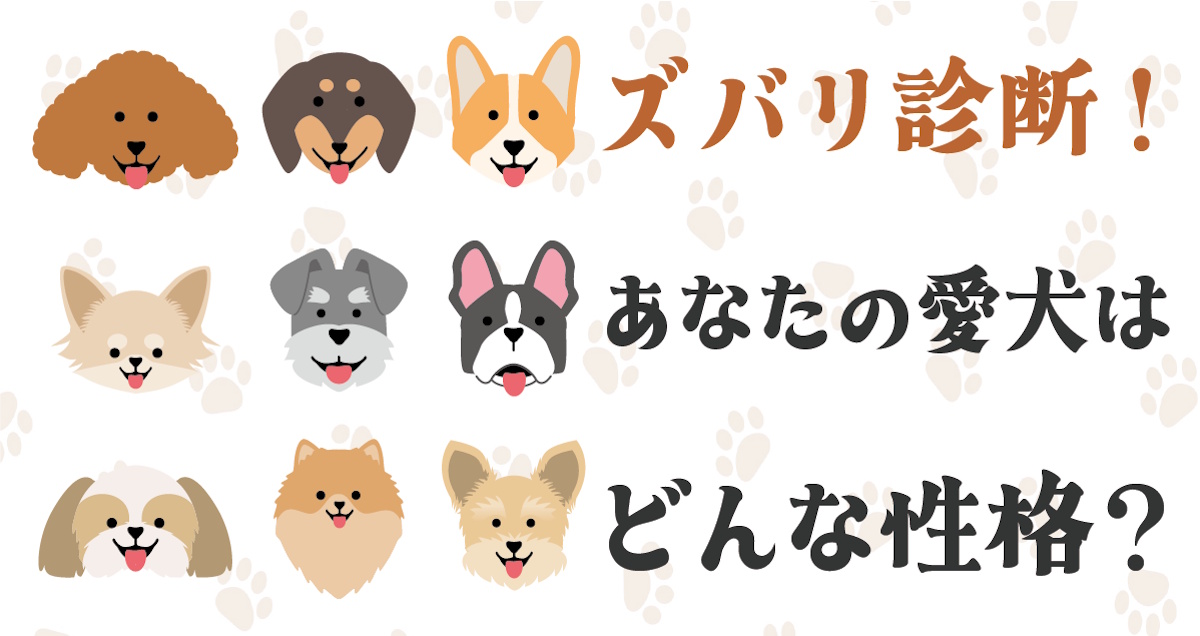 愛犬の性格診断