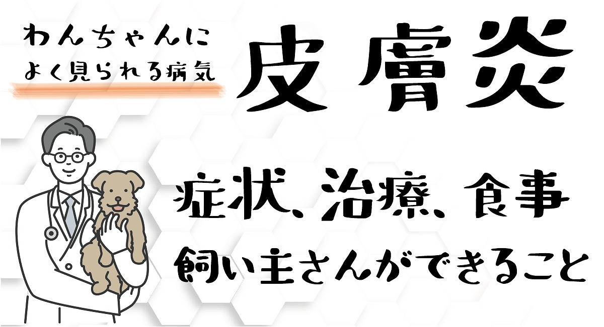 犬の皮膚炎
