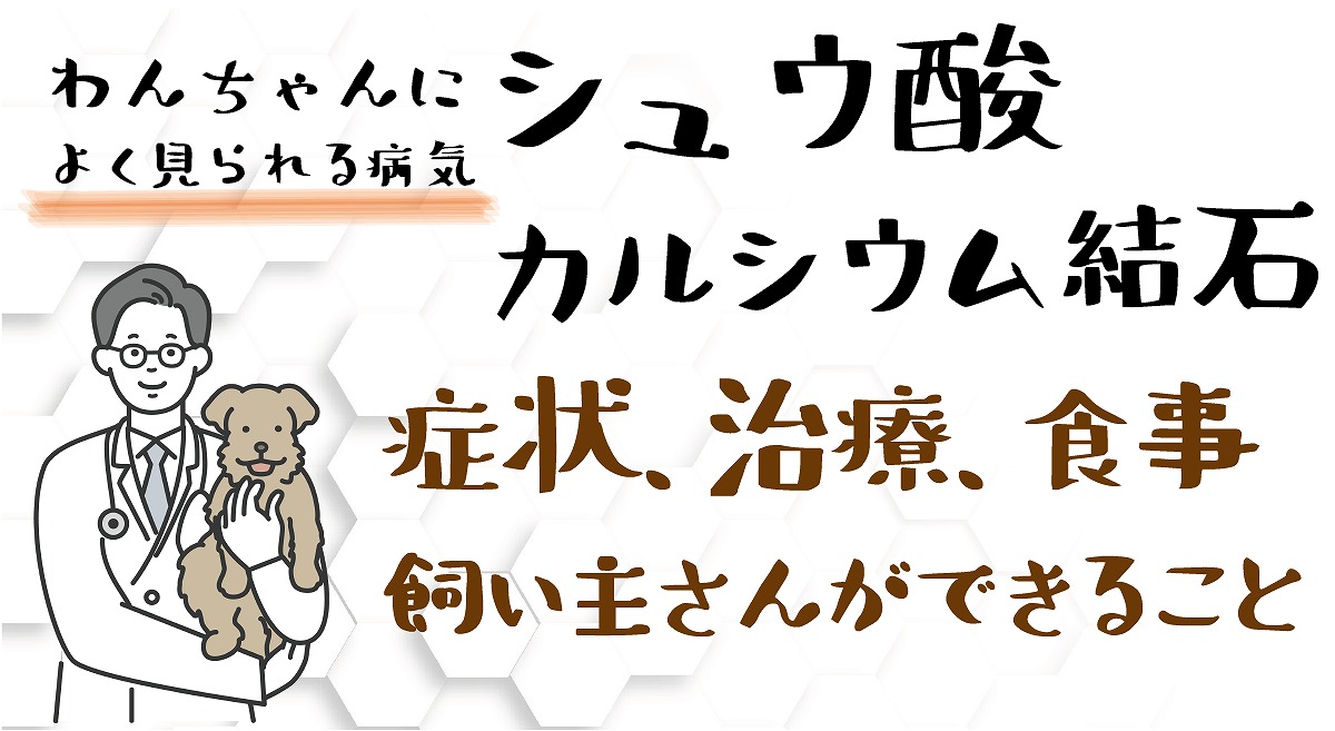 シュウ酸カルシウム結石