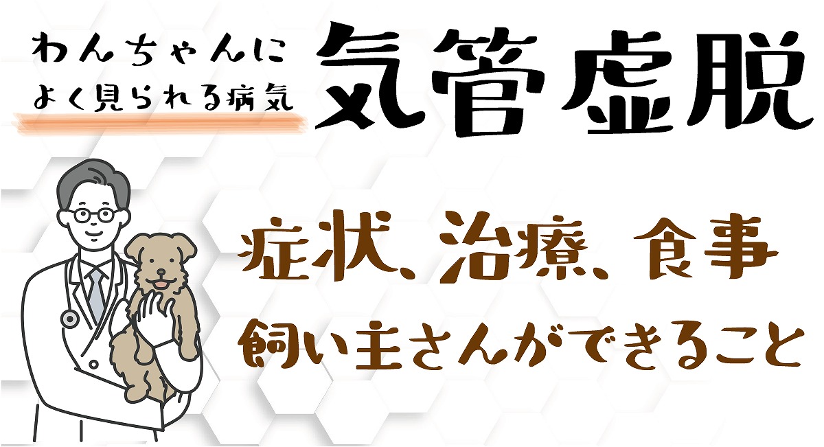 気管虚脱