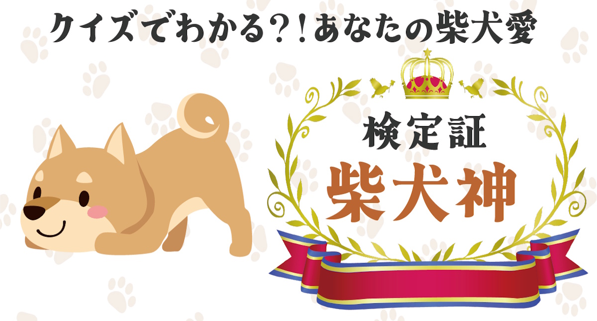 柴犬