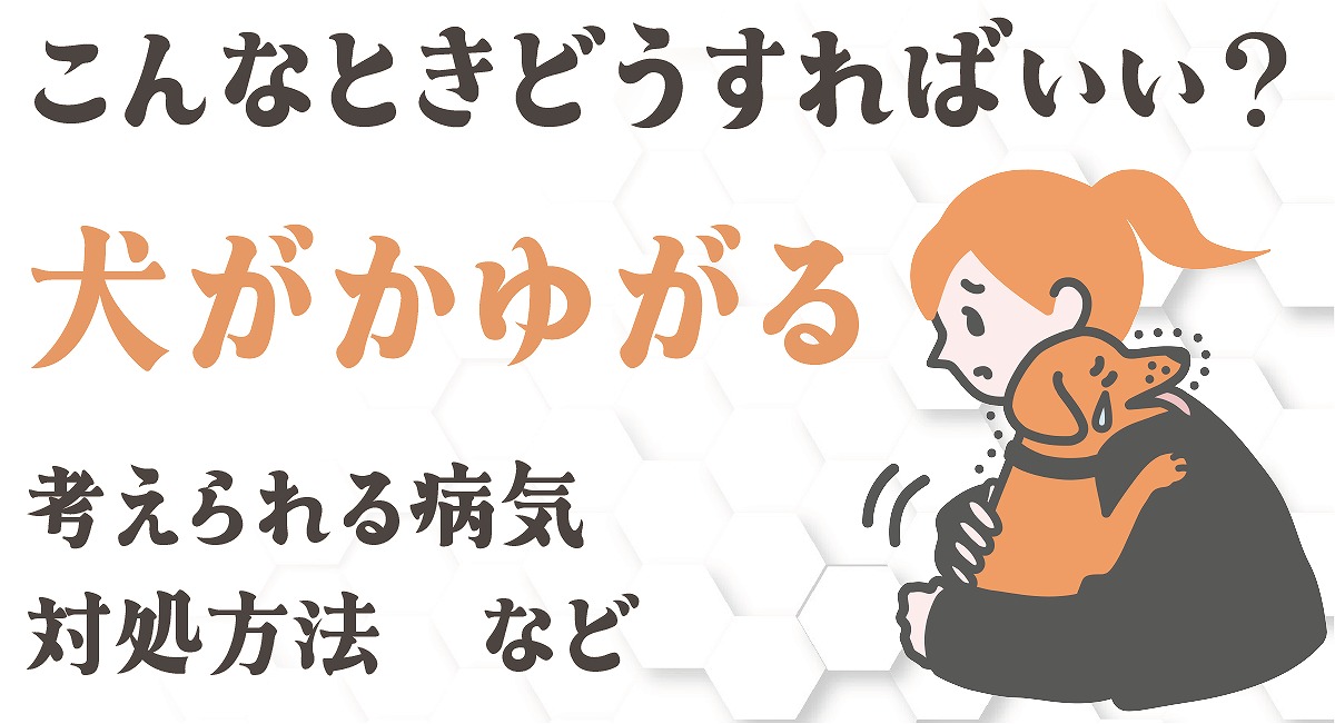 犬のかゆみ