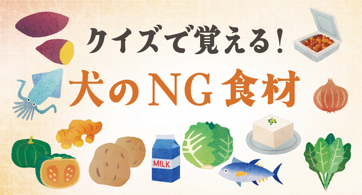 食べてはいけない食材クイズ