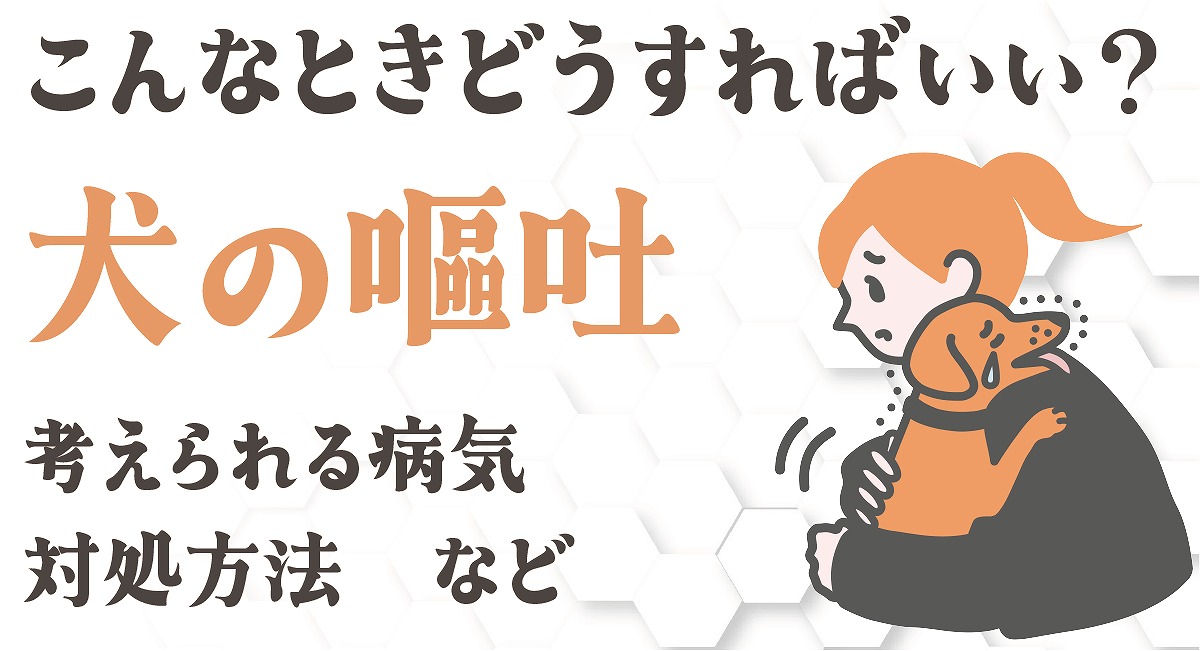 犬の嘔吐・緊急度