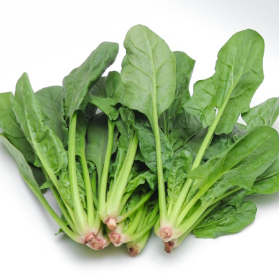 ほうれん草