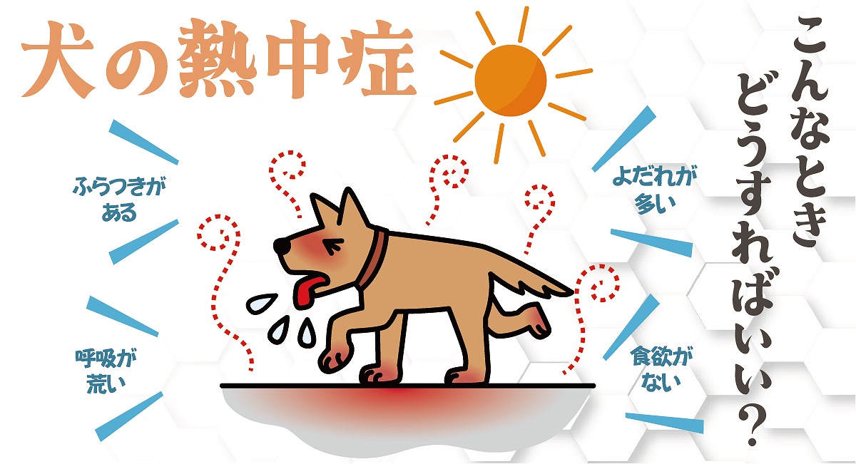 熱中症