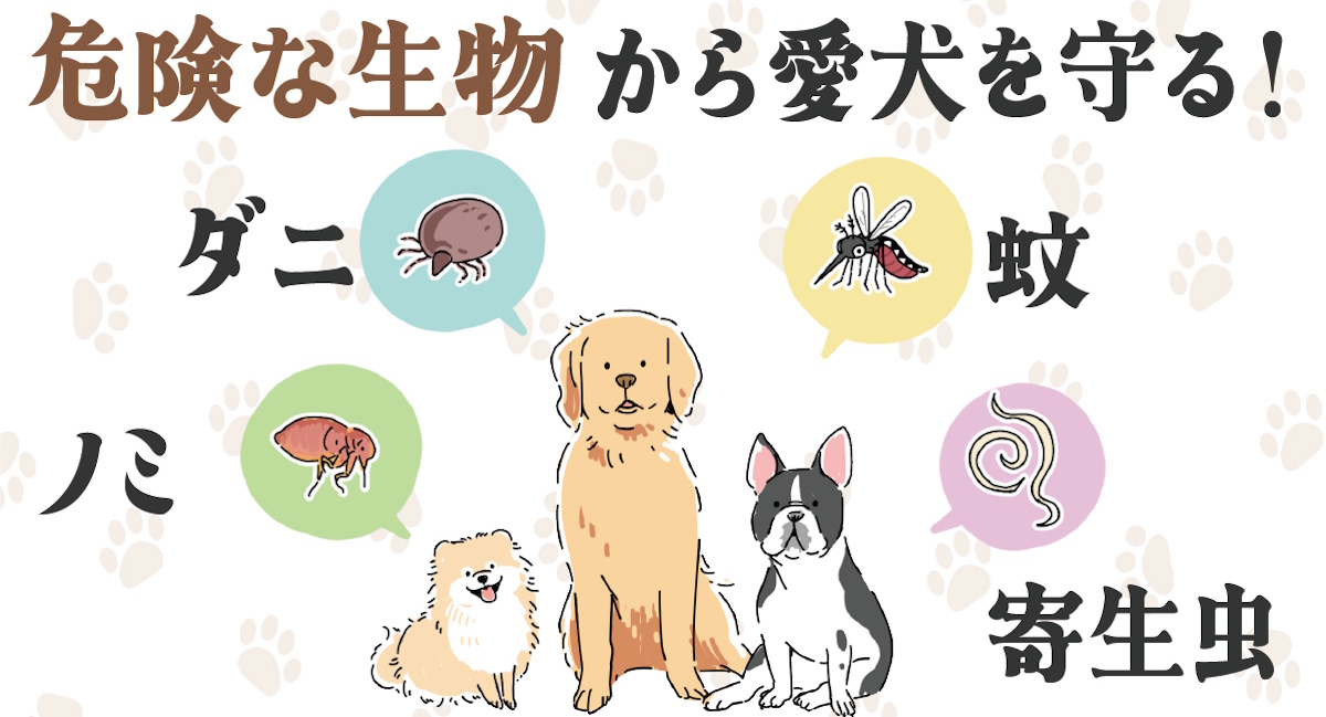 危険な生物