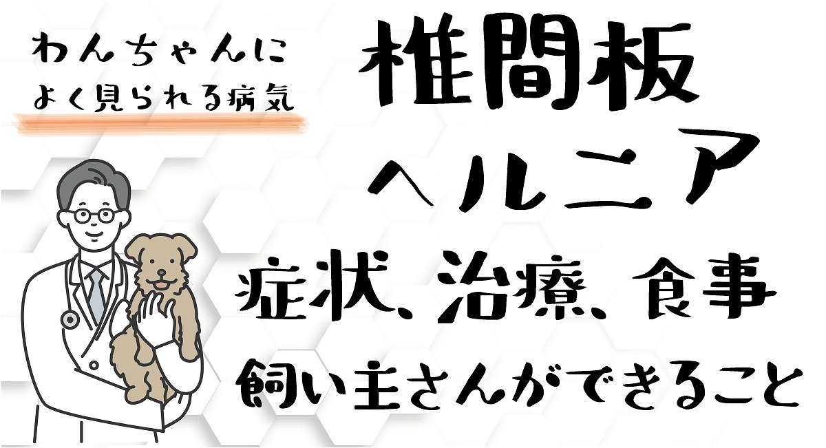 椎間板ヘルニア