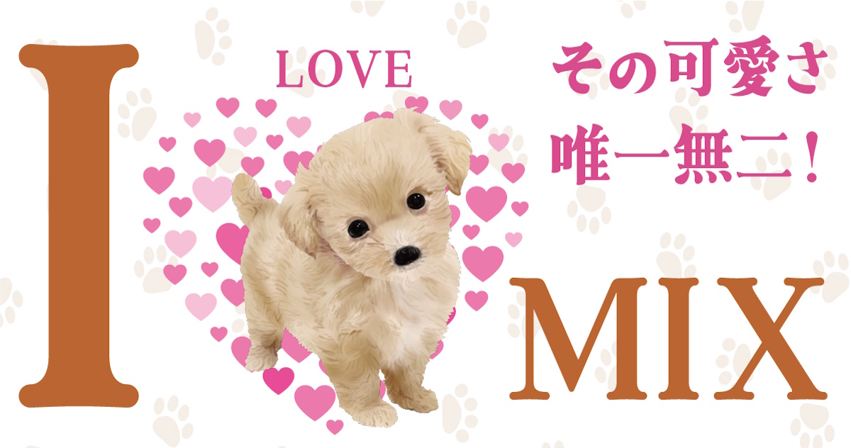 ミックス犬