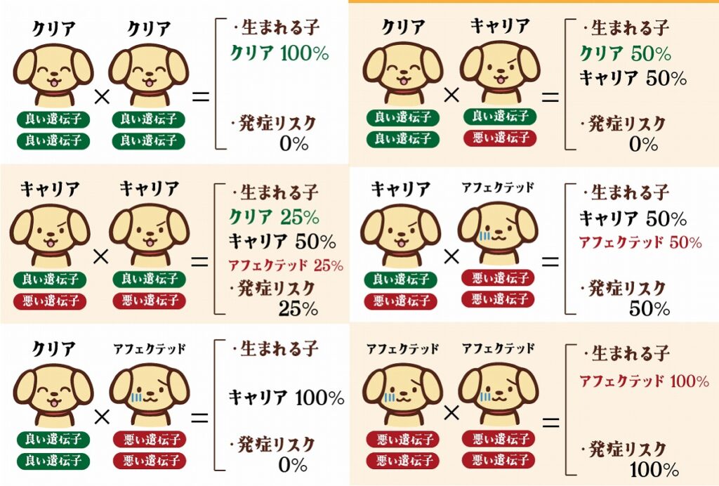 遺伝疾患の伝わり方の図
