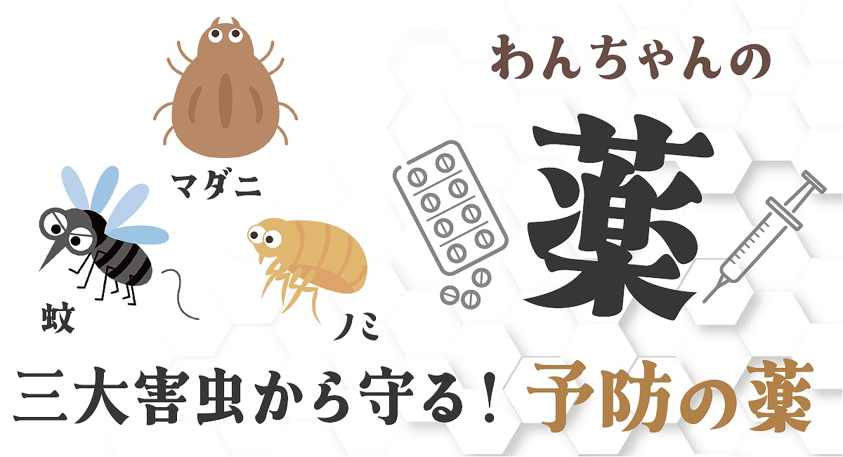 害虫予防薬