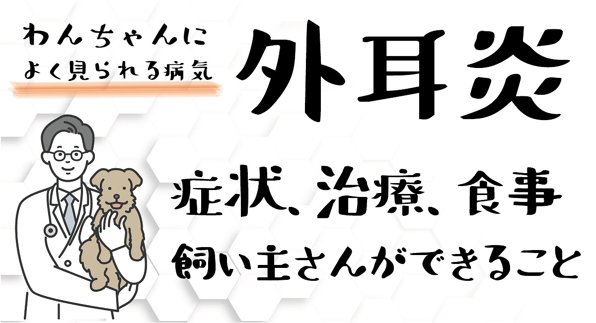 外耳炎