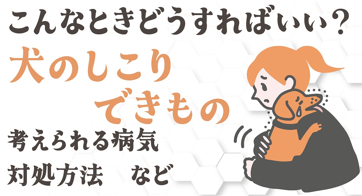 犬のしこり・できもの