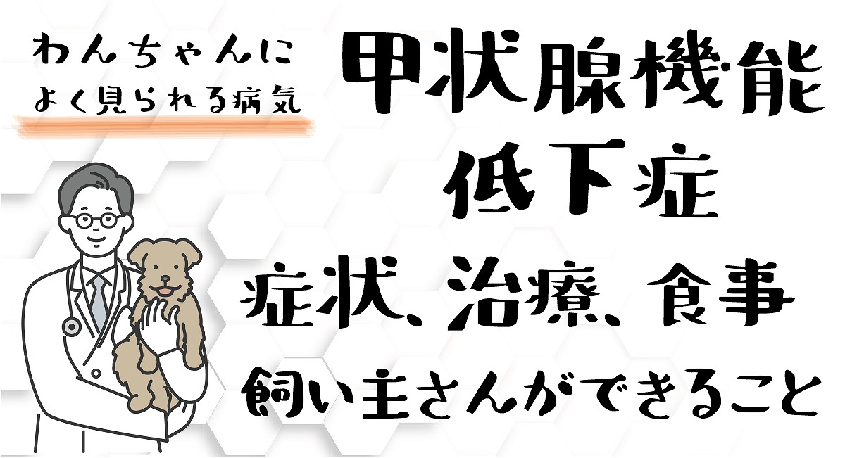 甲状腺機能低下症