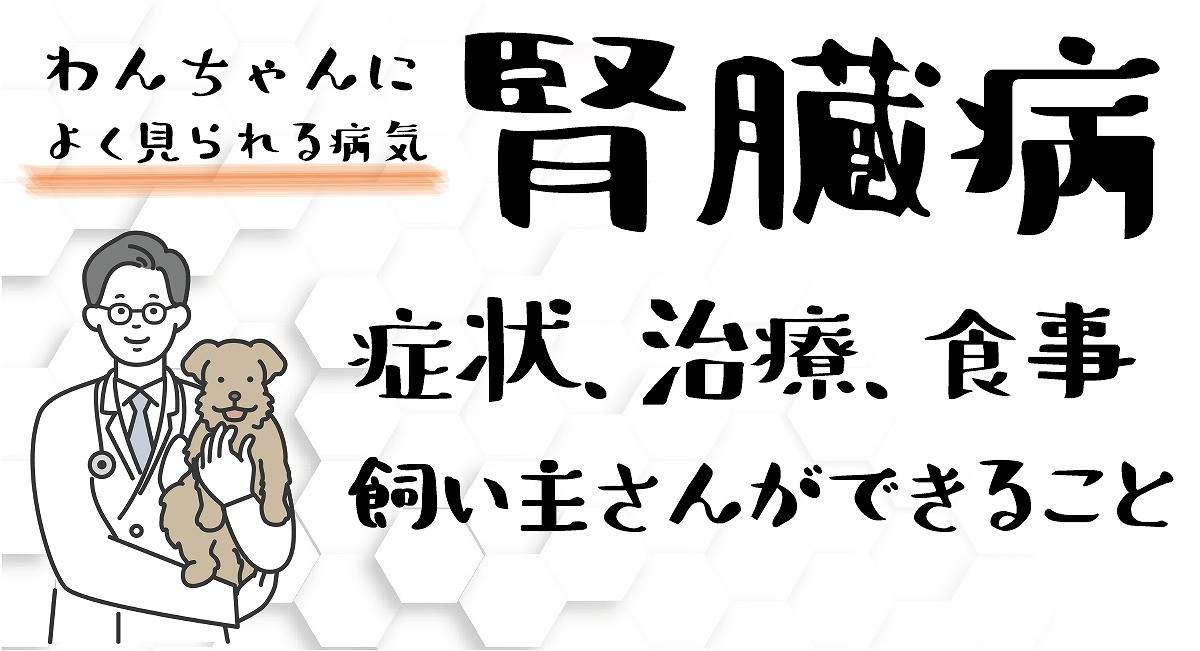 腎臓病