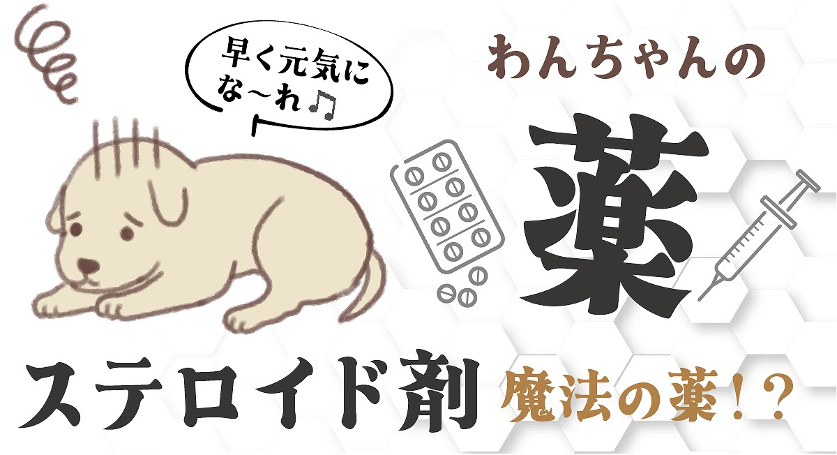 ステロイド剤