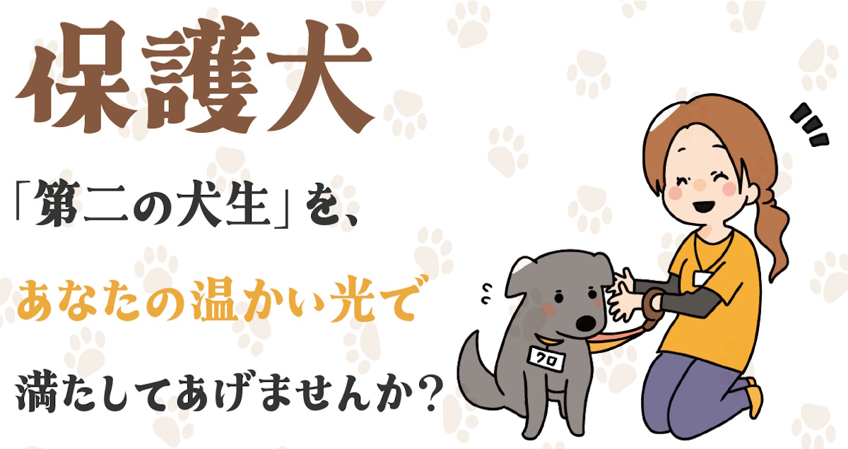 保護犬