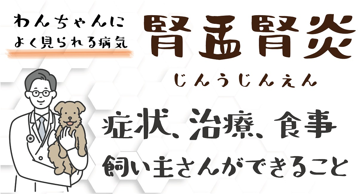 腎盂腎炎