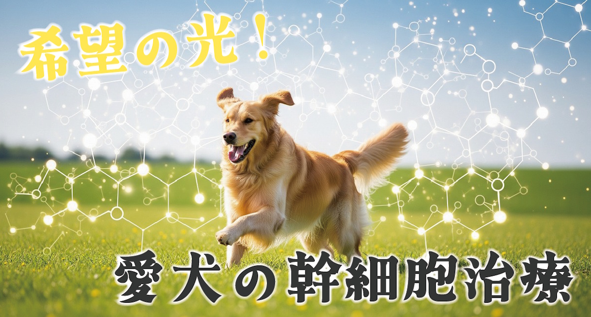 幹細胞治療