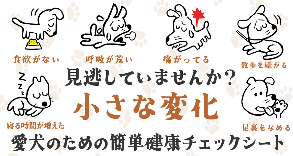 ウェルネスケアシート