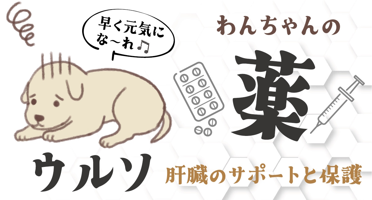 ウルソ