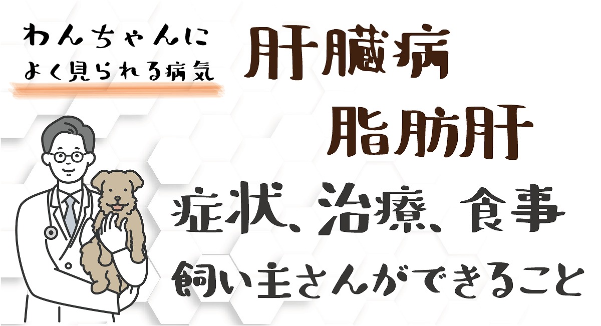 肝臓病・脂肪肝