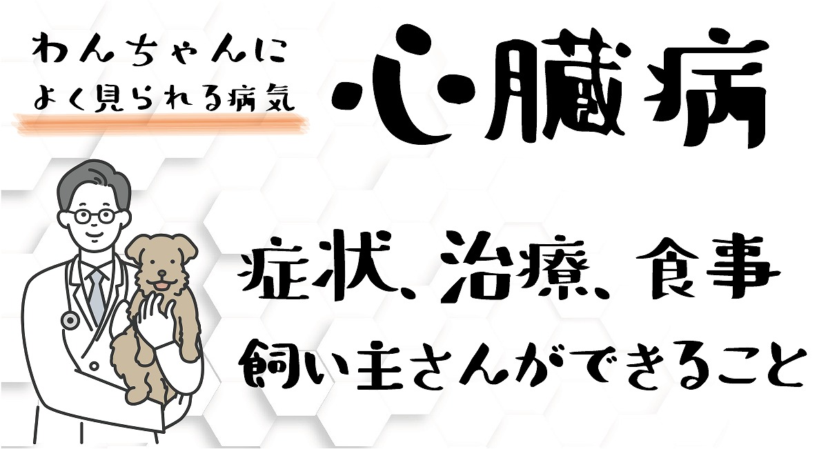 心臓病