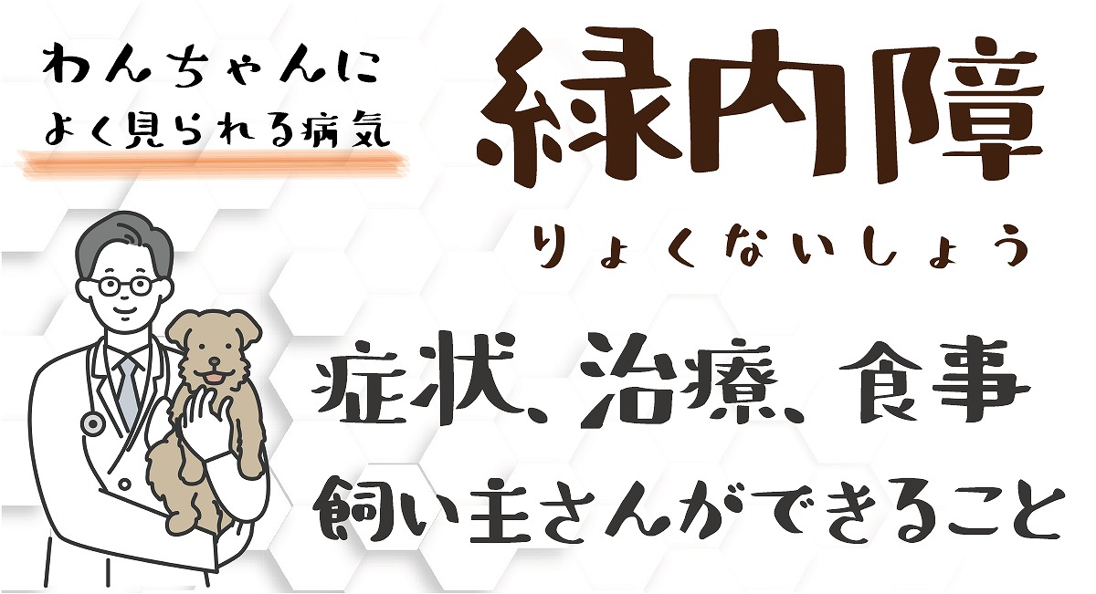 緑内障