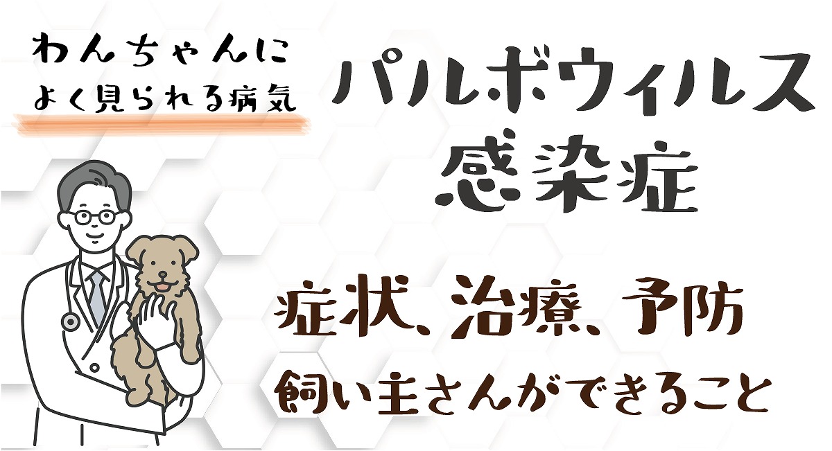 パルボウィルス感染症